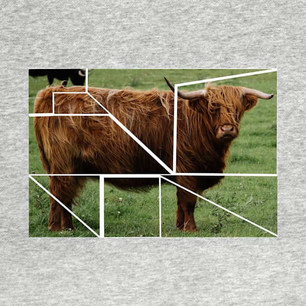 Brown Scottish Highland Cow by Michael's Art